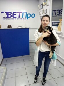 Клініка Ветеринарної Медицини