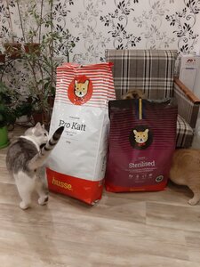 Husse Україна