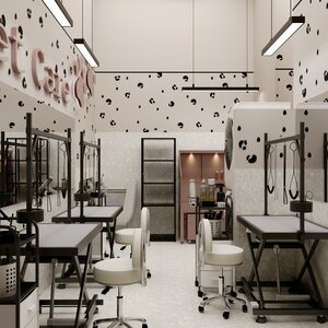 Mr Snoopy grooming and shop