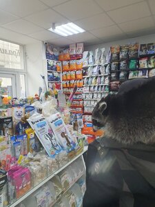 Лапочка