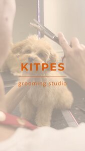 Груминг - салон KITPES