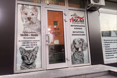 Ветеринарная клиника «Акела»