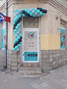 «Шалені Мопси» на Антоновича