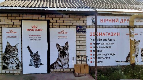 Вірний Друг
