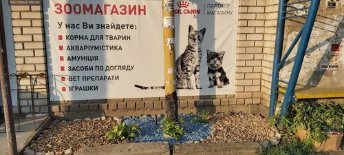 Вірний Друг