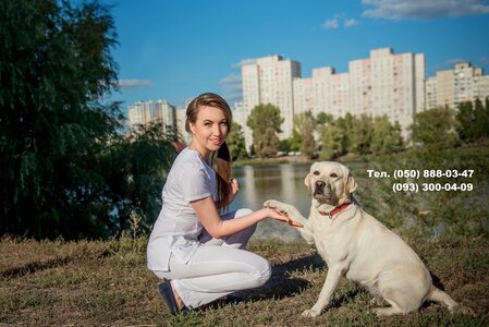 Центр ветеринарної хірургії