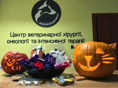 Центр ветеринарної хірургії