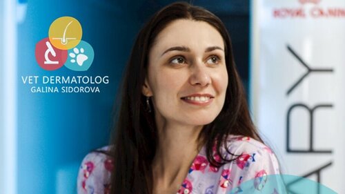 Кабінет ветеринарної дерматології Сидорової Галини
