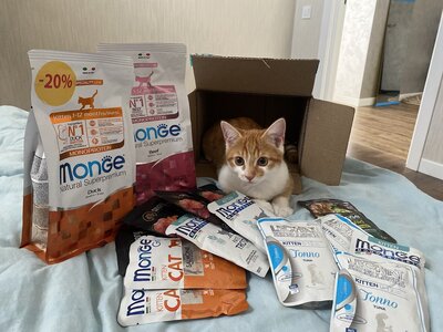 Petslike