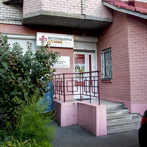 Кіт-Барбос