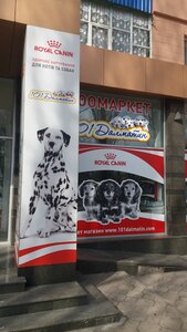 Зоомагазин 101Далматин