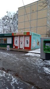 Лапусики