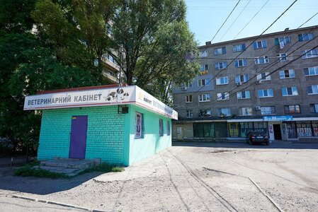Ветклініка Золотий мангуст