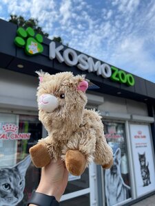 KOSMOZOO