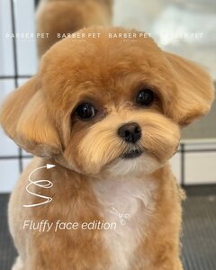 Barber Pet