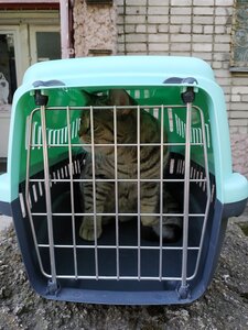 Клиника «Ветсервис»