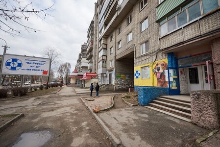 Клиника «Ветсервис»