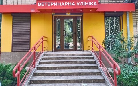 Ветеринарная клиника Феникс