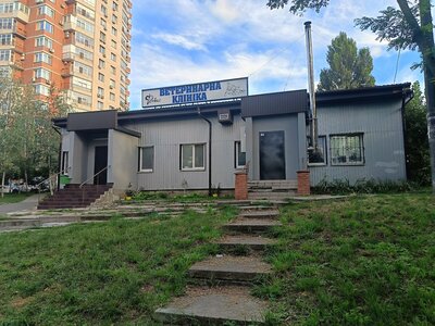 Фенікс