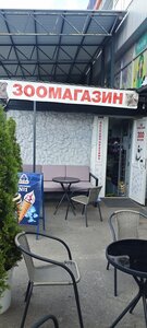 Зоомагазин