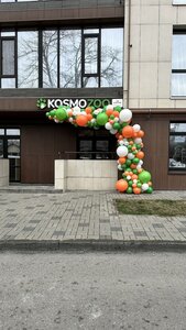 Kosmozoo