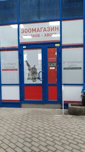 ГоловнеХвіст