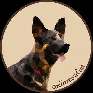 Кінологічний Центр CollarCord