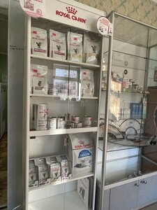 Ветеринарная клиника rasS-Vet