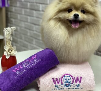 Студія грумінгу WOW