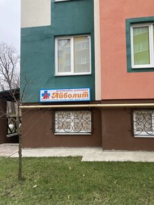 Айболит