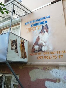 Лесси