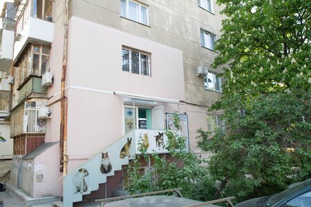 Лесси