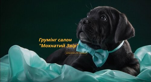 Грумінг салон «Мохнатий звір» Позняки