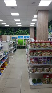 ZOOлогия