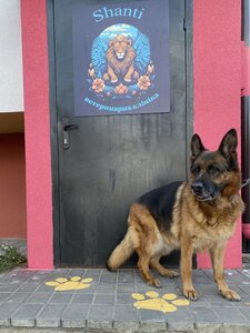 ветеринарна клініка Shanti