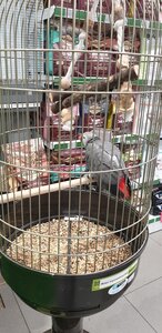 Зоомаркет MasterZoo
