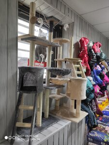 Зоомагазин ДАКРІ