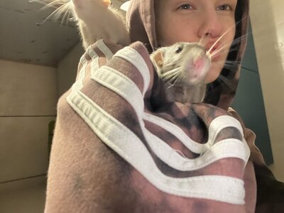 Доктор Vet