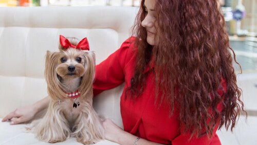 Студія грумінгу «Pet’s Secret»