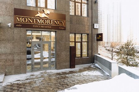Montmorency