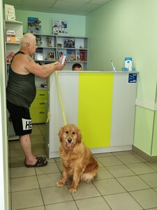 PETLIFE - Центр ветеринарной медицины