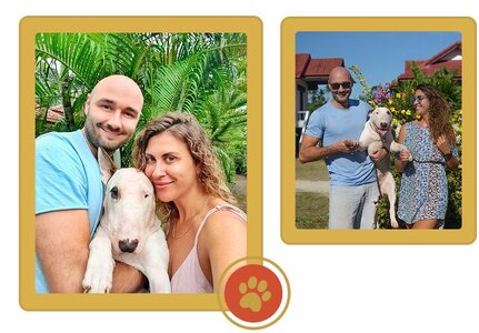 Зоомагазин Dog.com.ua