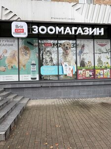 CityDog