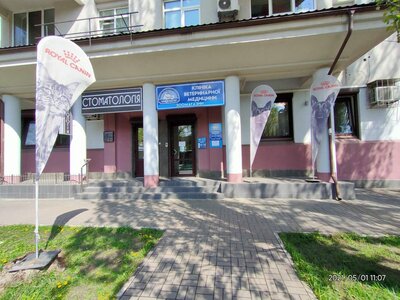 Кіт Бегемот