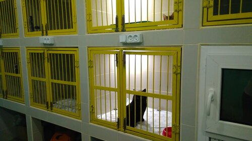 Ветеринарна клініка VET.UA