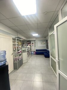Ветеринарна клініка «Like Vet»