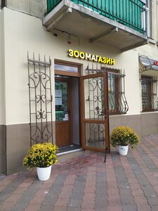 Зоомагазин Кіт Пес