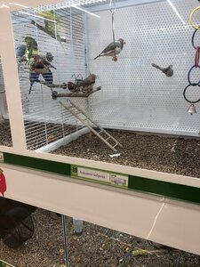 Зоомаркет MasterZoo