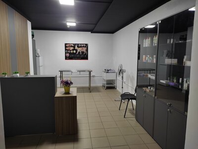 Ветеринарна амбулаторія Смарт Вет ( ветеринарна клініка)