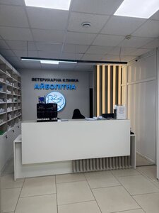 Айболит